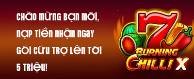 Ưu Đãi Nạp Thẻ Cào promotion